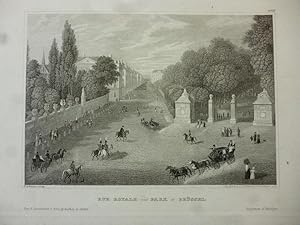 Orig. Stahlstich: Rue Royale und Park in Brüssel. Batty, I.G. Martini.