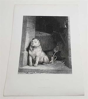 Low Life (1880 Steel Engraving)