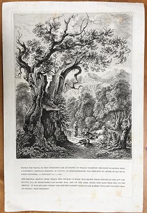 Imagen del vendedor de Oak, etching two plates on Chine-colle ; " Within the trunk of this venerable oak (according to Welch tradition) the body of Howel Sele, a powerful chieftain, residing at Nannau in Merionethshire, was immured." a la venta por Joseph Burridge Books