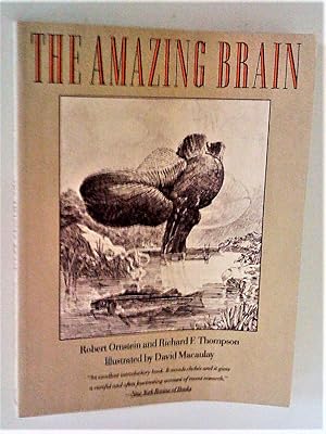 Imagen del vendedor de The Amazing Brain a la venta por Livresse
