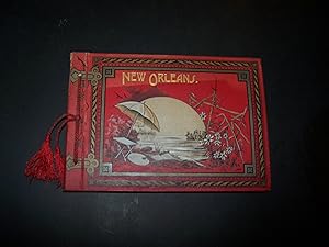 New Orleans Illustrated in Photo Gravure from Recent Negatives