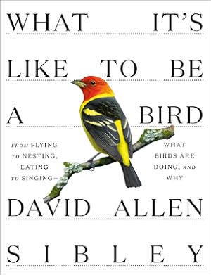 Seller image for What It's Like to Be a Bird: From Flying to Nesting, Eating to Singing--What Birds Are Doing, and Why (Hardback or Cased Book) for sale by BargainBookStores