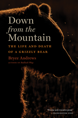 Bild des Verkufers fr Down from the Mountain: The Life and Death of a Grizzly Bear (Paperback or Softback) zum Verkauf von BargainBookStores