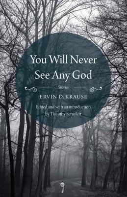 Imagen del vendedor de You Will Never See Any God (Paperback or Softback) a la venta por BargainBookStores