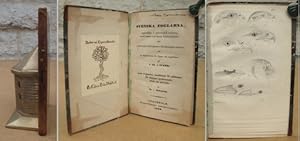 Bild des Verkufers fr Svenska foglarna, uppstllde i systematisk ordning, med namn och korta knnemrken, till vgledning fr Nybegynnare i Ornithologiens studium, och ett Repertorium fr Jgare och Jagtlskare, af I. Ad. af Strm; zum Verkauf von Antiquaria Bok & Bildantikvariat AB