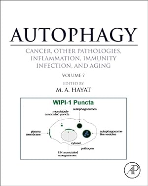 Immagine del venditore per Autophagy : Cancer, Other Pathologie, Inflamation, Immunity, Infection, and Aging venduto da GreatBookPrices