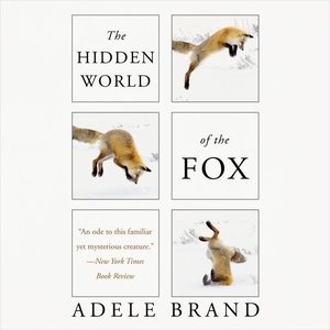 Seller image for Hidden World of the Fox for sale by GreatBookPrices