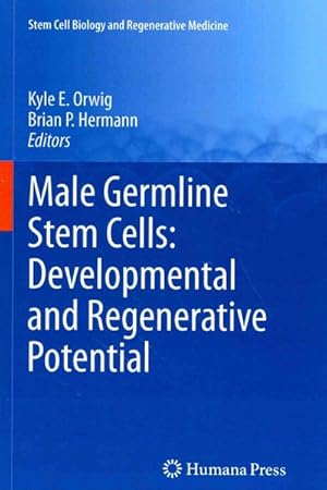 Imagen del vendedor de Male Germline Stem Cells : Developmental and Regenerative Potential a la venta por GreatBookPrices