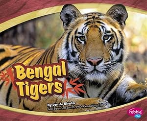 Seller image for Bengal Tigers for sale by GreatBookPrices