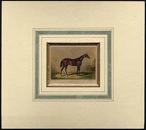 Antique Print-RACE HORSE-CHARLES 12TH-LEGER STAKES-DONCASTER-Herring-Scott-1850
