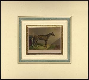 Antique Print-RACE HORSE-PRINCESS-OAKS STAKES-EPSOM-Herring-Hacker-1850