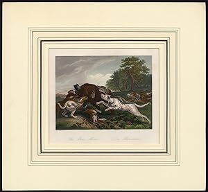 Antique Print-BEAR-HUNTING-DOGS-FOREST-CHARGE-Snyders-Heawood-1850