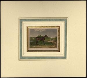 Antique Print-HORSE-HUNTING-PORTRAIT-EGLINTON-Ferneley-Engleheart-1850