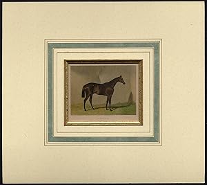 Antique Print-RACE HORSE-CORONATION-DERBY STAKES-EPSOM-Hancock-Paterson-1850