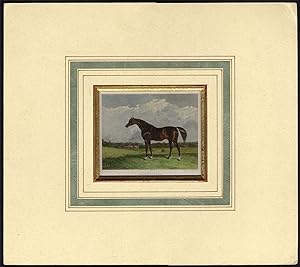 Antique Print-HORSE-PORTRAIT-SHAKESPEARE-Cooper-Scott-1815