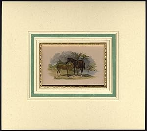 Antique Print-HORSE-FOAL-PADDOCK-FIELD-Giles-Scott-1850