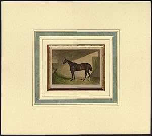 Antique Print-RACE HORSE-SPANIEL-DERBY STAKES-EPSOM-Herring-Scott-1850