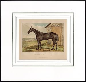 Antique Print-PORTRAIT-HUNTING HORSE-STONE BUILDING-Anonymous-1870