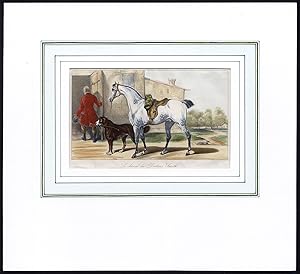 Antique Print-HORSE-DOCTOR SMITH-SADDLE-ROLL-RIDER-VERNET-Anonymous-1880