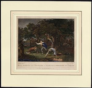 Antique Print-BOYS-ORCHARD-STEAL-APPLE-Morland-Scott-1804