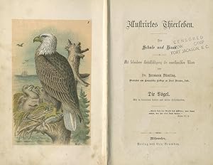 Bild des Verkufers fr Illustrirtes Thierleben. Fr Schule und Haus. Mit besonderer Bercksichtigung der amerikanischen Thiere. Teil 2 (von 2): Die Vgel. zum Verkauf von Schsisches Auktionshaus & Antiquariat