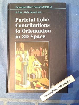 Bild des Verkufers fr Parietal lobe contributions to orientation in 3D space. P. Thier ; H.-O. Karnath (ed.) / Experimental brain research / Series ; 25. zum Verkauf von Antiquariat BehnkeBuch