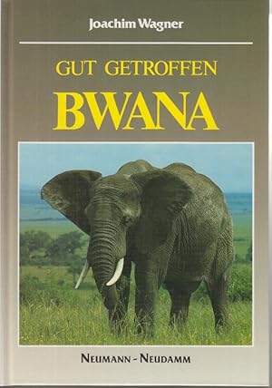 Gut getroffen - Bwana.