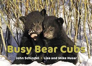 Imagen del vendedor de Busy Bear Cubs a la venta por GreatBookPrices