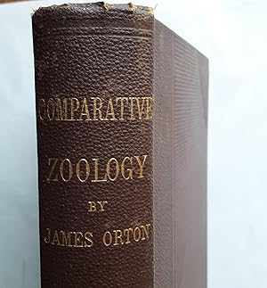 Comparative Zoology