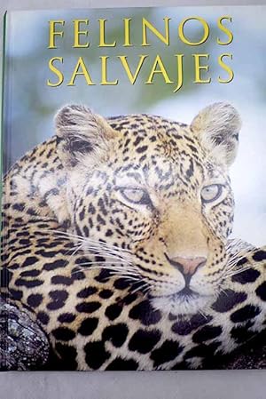 Seller image for Felinos salvajes for sale by Alcan Libros