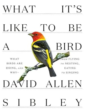 Bild des Verkufers fr What It's Like to Be a Bird : From Flying to Nesting, Eating to Singing--What Birds Are Doing, and Why zum Verkauf von AHA-BUCH GmbH