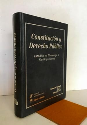 Constitución y derecho público.Estudios en homenaje a Santiago Varela