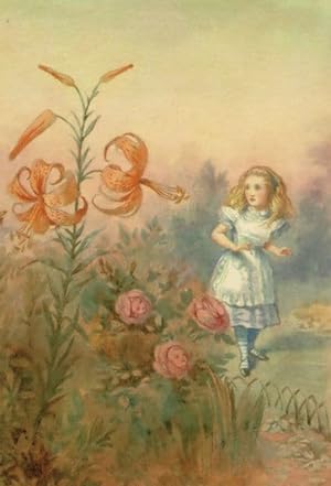 Alice In Wonderland Tiger Lily Garden Of Live Flowers 1911 Book Postcard