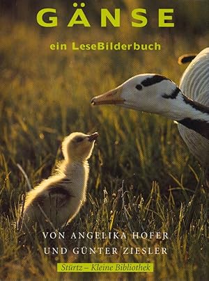 Seller image for Gnse: Ein LeseBilderbuch. Mit Bildern v. Gnter Ziesler. (= Strtz - Kleine Bibliothek, Band 15). for sale by Buch von den Driesch