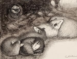 GARTH WILLIAMS~STUNNING DETAILED FINAL PUBLISHED INK WASH + CHARCOAL~ "FOX EYES"