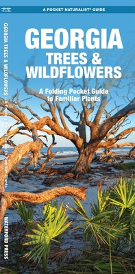 Seller image for Georgia Trees & Wildflowers: An Introduction to Familiar Species (Paperback or Softback) for sale by BargainBookStores