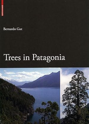 Trees in Patagonia.