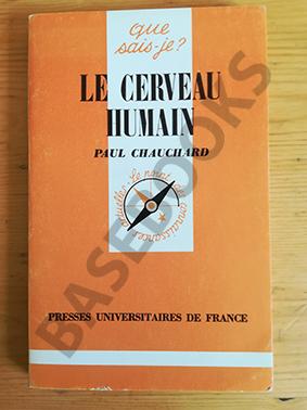 Le Cerveau Humain