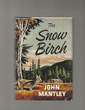 The Snow Birch