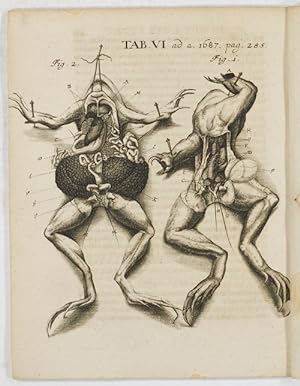 Observationes anatomicae circa congressum, conceptionem, gestationem partumque ranarum (pp.284-28...