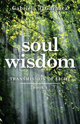Seller image for Soul Wisdom: Transmission of Light (Paperback or Softback) for sale by BargainBookStores