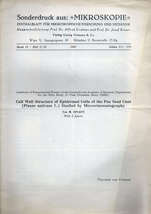 Cell Wall Structure of Epidermal Cells of the Pea Seed Coat (Pisum