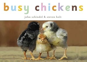 Immagine del venditore per Busy Chickens venduto da GreatBookPricesUK