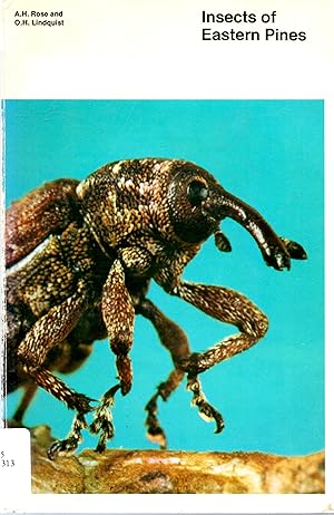 Seller image for Insects of Eastern Pines for sale by Book Booth