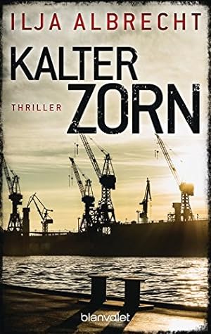 Seller image for Kalter Zorn: Thriller for sale by Antiquariat Buchhandel Daniel Viertel