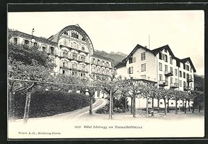 Ansichtskarte Emmetten, Hotel Schönegg im Sonnenschein