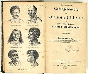 Ausführliche Naturgeschichte des Thier-, Pflanzen- und Mineralreichs. Ein Handbuch für alle Ständ...
