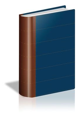 Image du vendeur pour Santa Biblia Thompson Edicion Especial Para El Estudio Biblico-Rvr 1960 (Leather / Fine Binding) mis en vente par BargainBookStores