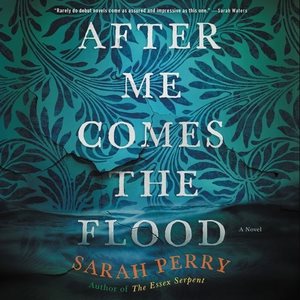 Seller image for After Me Comes the Flood : Library Edition for sale by GreatBookPrices