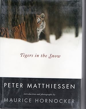 Image du vendeur pour Tigers in the Snow mis en vente par Sawtooth Books, ABAA